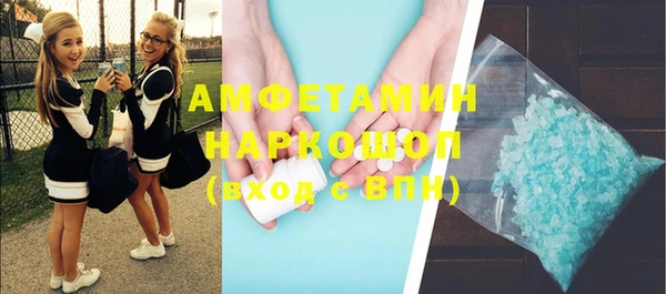 соль ск Ельня