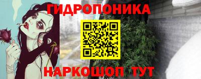 Альфа ПВП Новодвинск