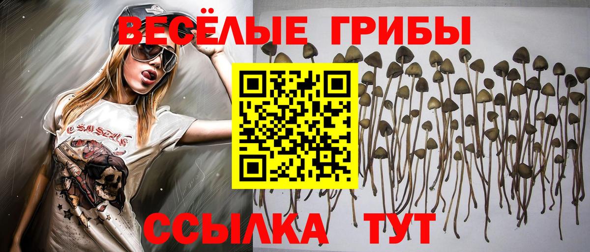 Галлюциногенные грибы ЛСД  Вход с VPN  Симферополь 